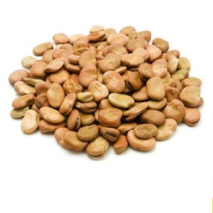 Beans / Grains
